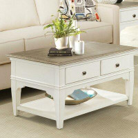 Rosecliff Heights Winterhaven Coffee Table with Storage