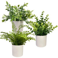 Primrue Faux Plants 3 - Piece Artificial Eucalyptus Plant in Pot Set