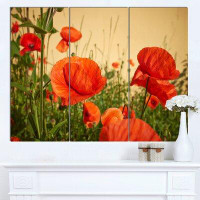 Made in Canada - Design Art 'Colourful Red Poppy Flower Field' 3 Piece Photographic Print on Wrapped Canvas Set