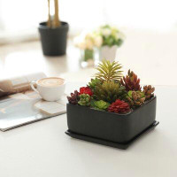Ebern Designs Hens Indoor Square Ceramic Pot Planter