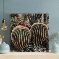 Foundry Select Brown And Green Cactus Plants 2 - 1 Piece Square Graphic Art Print On Wrapped Canvas