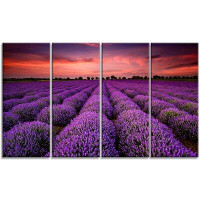 Design Art 'Red Sunset Over Lavender Field' Photgraphic Print Multi-Piece Image on Wrapped Canvas