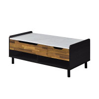 17 Stories Axel Coffee Table W/Lift Top