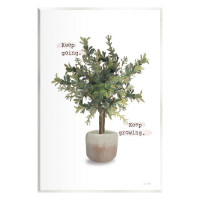 Stupell Industries Keep Going & Growing Potted Plant Floater Canvas Wall Art By House Fenway