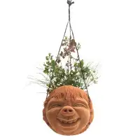 Bungalow Rose Bungalow Rose Handmade Laughing Face Coconut Shell Hanging Planter