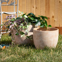 Joss & Main Harter 2 - Piece Terracotta Pot Planter