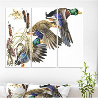 Made in Canada - East Urban Home 'Three Flying Ducks in Coloured illustration' Farmhouse Animal Painting Print on Wrappe