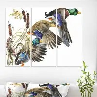 Made in Canada - East Urban Home 'Three Flying Ducks in Coloured illustration' Farmhouse Animal Painting Print on Wrappe