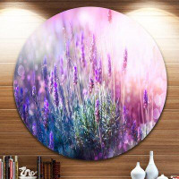 Design Art 'Growing and Blooming Lavender' Photographic Print on Metal