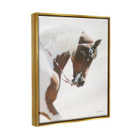 Stupell Industries Stupell Industries® Galloping Horse With Halter Framed Giclee Art Design By Kari Brooks