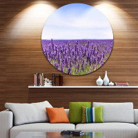 Made in Canada - Design Art 'Close View of Lavender Flower Field' Photographic Print on Metal