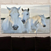 Made in Canada - Picture Perfect International 'White Horses' Photographic Print on Wrapped Canvas