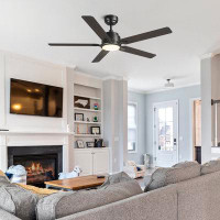 Latitude Run® 48 Inches Smart DC Motor Ceiling Fan With Light, Remote Control, Downrod Mounted