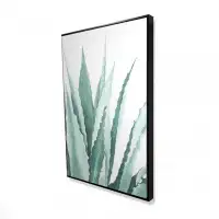Latitude Run® Watercolor agave plant - 24"x36" Framed canvas