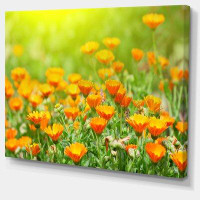 Design Art Yellow Marigold Flowers - Wrapped Canvas Photograph Print