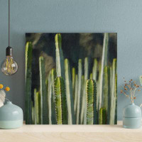 Foundry Select Green Cactus Plant During Daytime 43 - 1 Piece Square Graphic Art Print On Wrapped Canvas