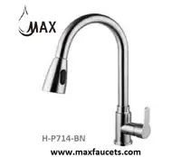 Single Handle Pull-Out Kitchen Faucet 16.5 In Brushed Nickel Finish