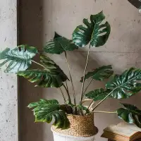 Bay Isle Home™ Artificial Turtle Leaf Plant in Pot