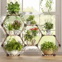 Arlmont & Co. 7-tier creative hexagonal large wooden plant stand