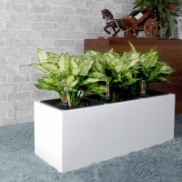 Latitude Run® 3-Liner Self-Watering Rectangle Planter Box - White