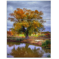 Design Art Willow Near Pond - 3 Piece Wall Art on Wrapped Canvas Set