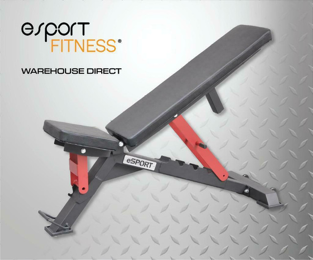 FREE SHIPPING CODE IS eSPORT (NEW eSPORT IRON BULL SUPER BENCHES BEST IN THIS PRICE RENGE in Exercise Equipment in Vernon