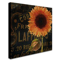 Trademark Fine Art 'Sunflower Salon II' by Colour Bakery Graphic Art on Wrapped Canvas