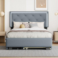 Latitude Run® Queen Size  Velvet Storage Platform Bed, With 2 Big Drawers, Twin XL Size Trundle And LED Light, Grey