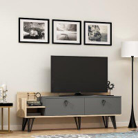 East Urban Home Mendez TV Stand for TVs up to 50"