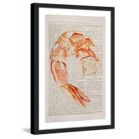 Marmont Hill 'Historical Crevette' Framed Painting Print