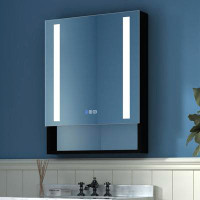 Wrought Studio Bryah Recessed or Surface Mount Frameless Medicine Cabinet with 3 Adjustable Shelves and LED Lighting