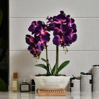 Primrue Artificial Potted Orchid Plant, Silk Flower Arrangement With Ceramics Vase
