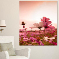 Made in Canada - Design Art Meadow with Beautiful Cosmos Flowers - Wrapped Canvas Photograph Print