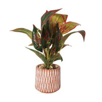 Primrue Sumner 14.1'' Faux Foliage Plant in Ceramic Pot
