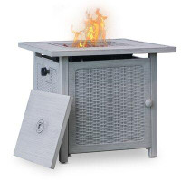 TiramisuBest 24.41" H x 28.54" W Steel Propane Outdoor Fire Pit Table