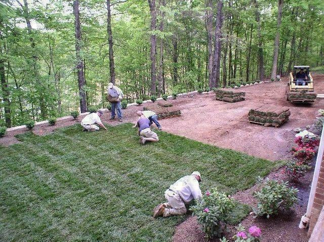 SOD, NEW GRASS SPECIAL STARTING @ $1.50 PER SQUARE FOOT SOD SALE LAWN CARE NEW LAWN WEED REMOVAL FREE ESTIMATES in Patio & Garden Furniture in Markham / York Region - Image 2