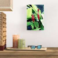 Bay Isle Home™ Tropical Plants Print On Canvas