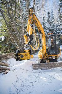 Tree Shear for Thinning and Firesmart Operations.  In stock.