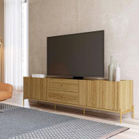 Wade Logan Areyon TV Stand for TVs up to 75"
