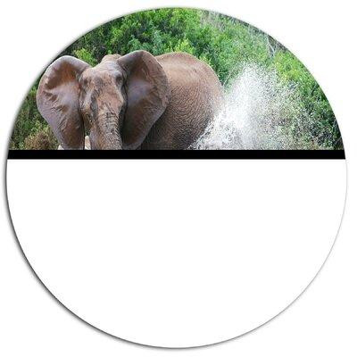 Design Art 'Elephant Spraying Water' Photographic Print on Metal in Arts & Collectibles