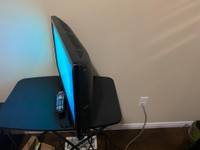 Used 24 RCA LCD Monitor/TV with HDMI for sale, Can Deliver