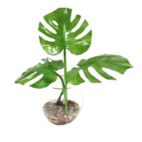 Bay Isle Home™ Philodendron Leaves Plant
