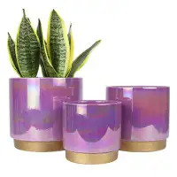 Latitude Run® Ceramic Plant Pots with Drainage Holes Set of 3