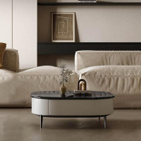 RARLON Italian style modern coffee table.