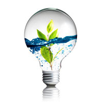 Ebern Designs Light Bulb With Plant
