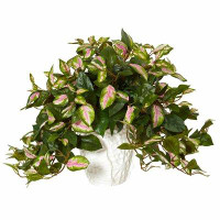 Bay Isle Home™ Artificial Hoya Floor Foliage Plant in Decorative Vase
