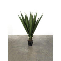 One Allium Way 48'' Artificial Agave Plant in Pot