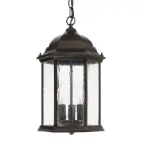 Darby Home Co Hearne 3 -Bulb 15" H Outdoor Hanging Lantern