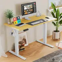 Inbox Zero Electric Height Adjustable Standing Desk