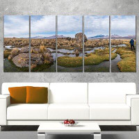 Design Art Bolivia Volcanoes Panoramic View 5 Piece Wall Art on Wrapped Canvas Set